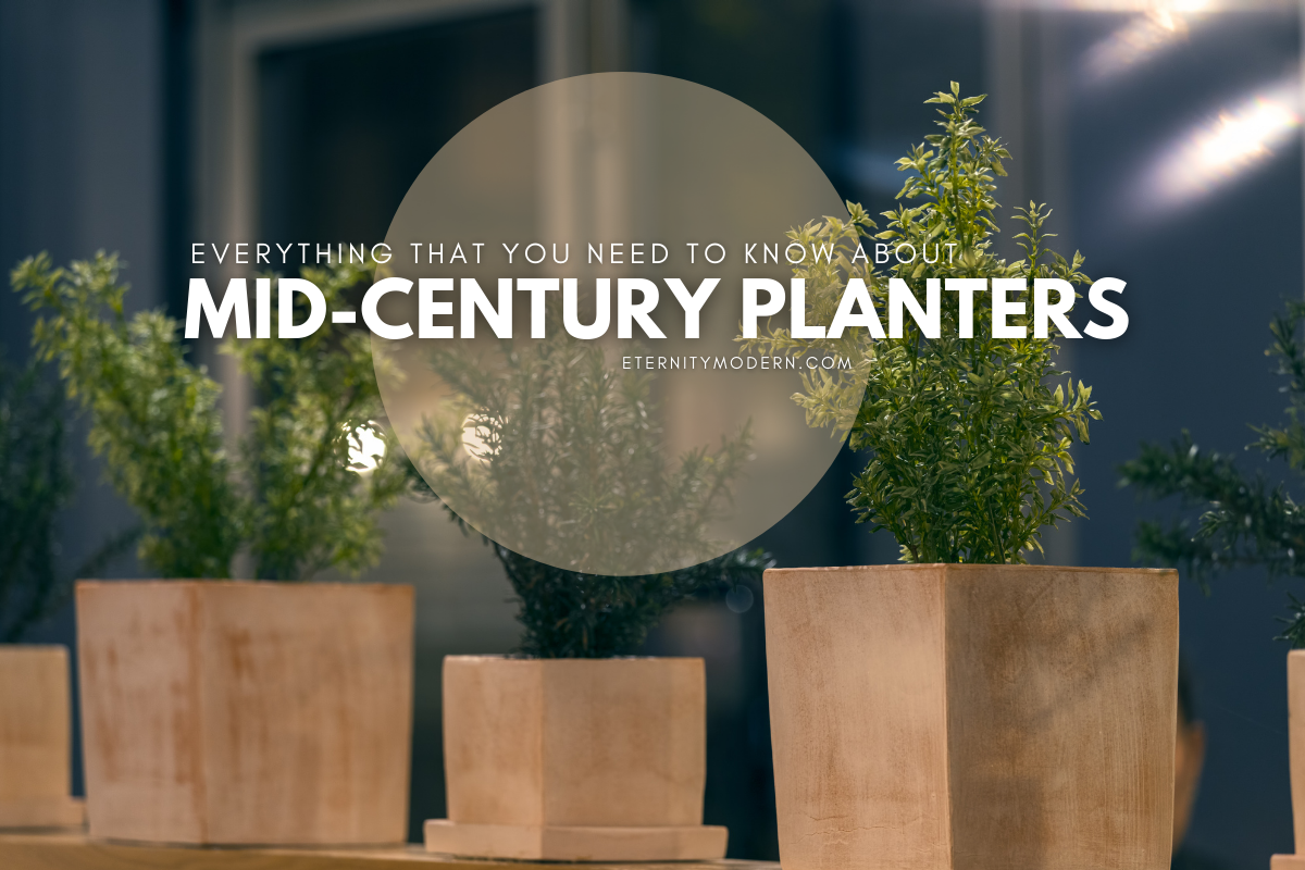 Everything that you need to know about Mid-Century Planters