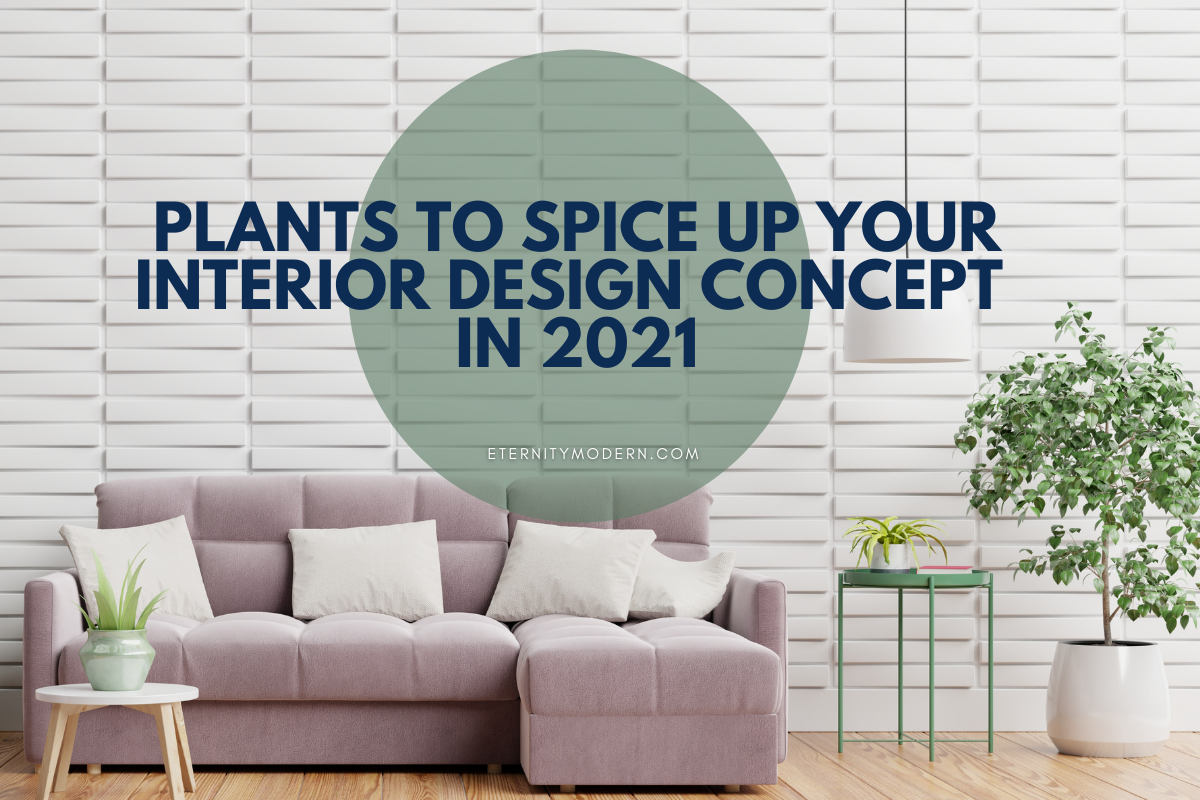 Plants Guaranteed to Spice Up Your Interior Design Concept in 2021